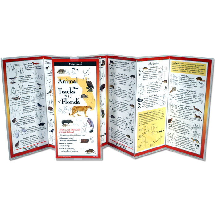 Animal Tracks of Florida - TriFold