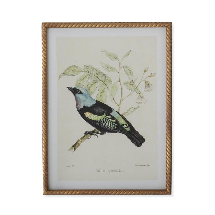 Bird Print With Twist Frame - Madison's Niche