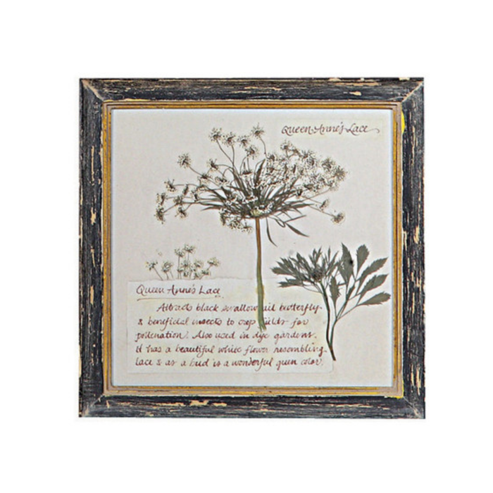 Floral Framed Wall Art - Madison's Niche