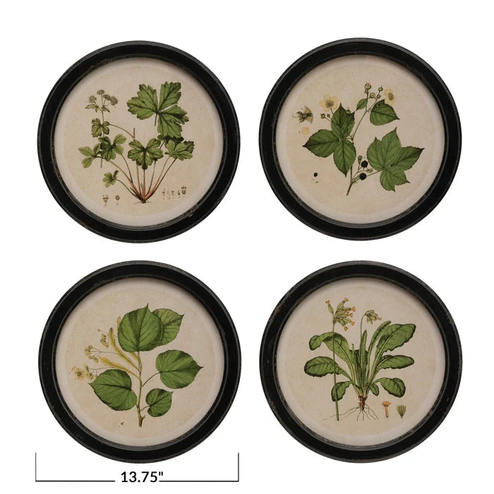 Round Botanical Wall Art - Madison's Niche
