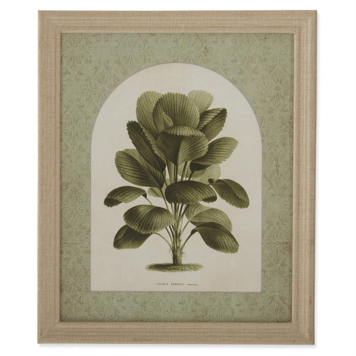 Tropical Plant Wall Art - Madison's Niche