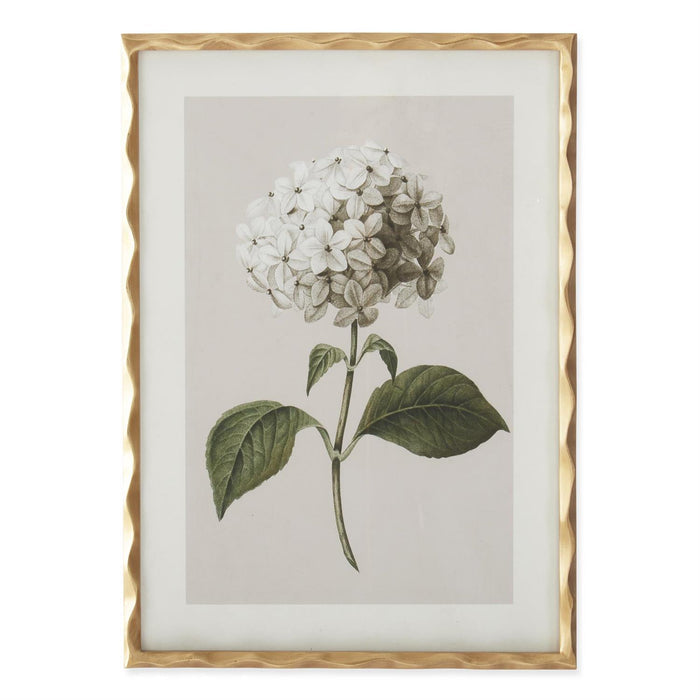 White Geranium Wall Art - Madison's Niche