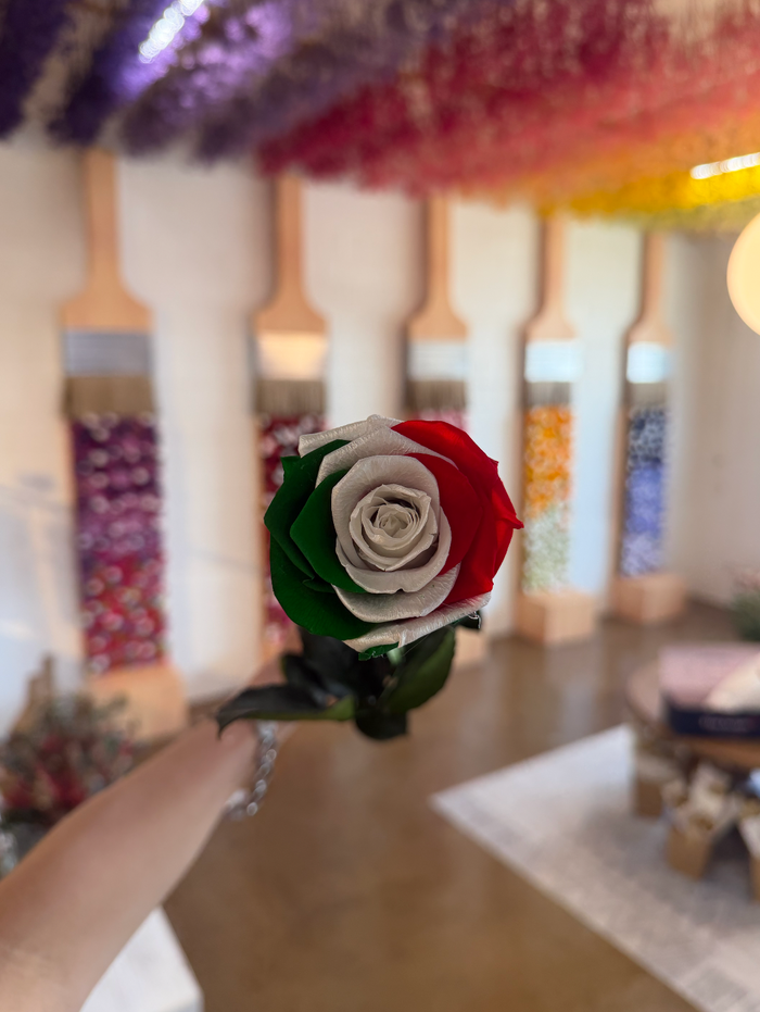 World Cup Roses!
