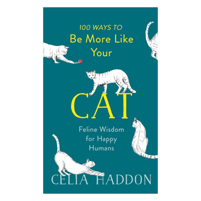 100 Ways to Be More Like Your Cat - Madison's Niche
