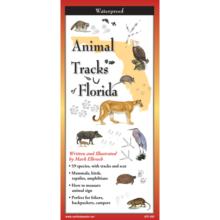 Animal Tracks of Florida - TriFold