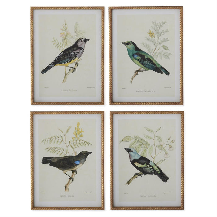 Bird Print With Twist Frame - Madison's Niche