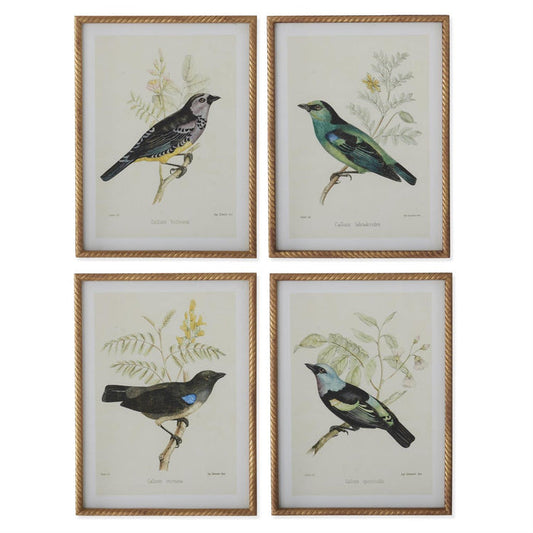 Bird Print With Twist Frame - Madison's Niche