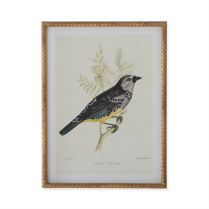 Bird Print With Twist Frame - Madison's Niche