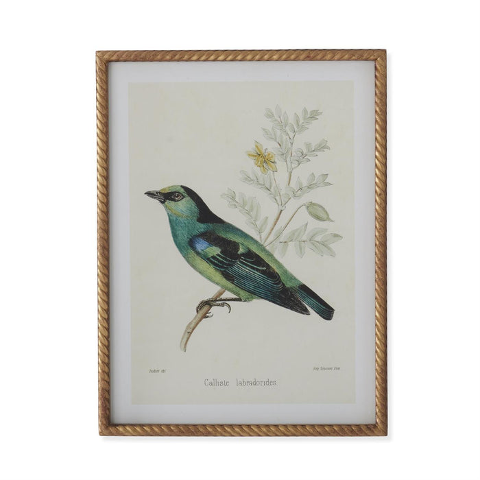 Bird Print With Twist Frame - Madison's Niche