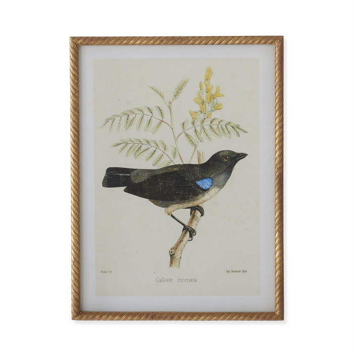 Bird Print With Twist Frame - Madison's Niche