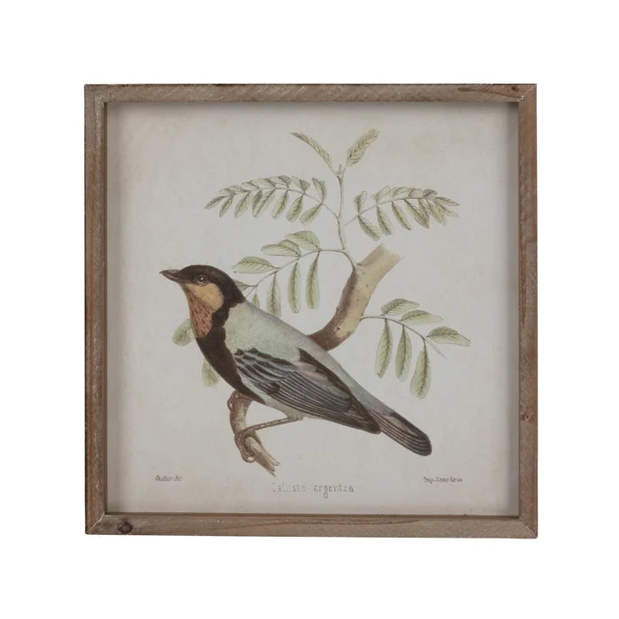 Bird Wall Decor 14" Square - Madison's Niche