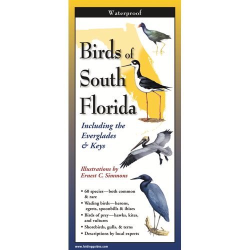 Birds of South Florida - TriFold