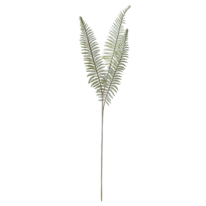 Boston Fern Stem 36" - Madison's Niche