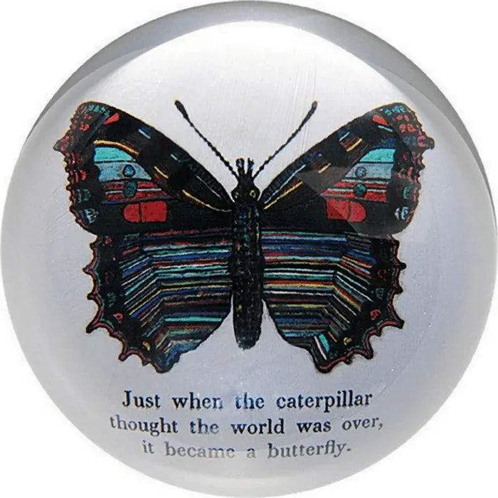 Butterfly Paperweight - Madison's Niche