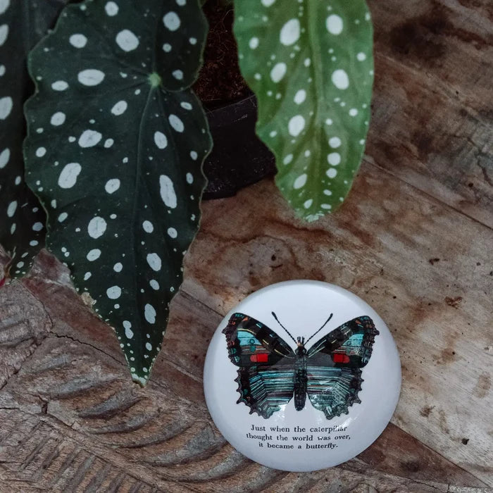 Butterfly Paperweight - Madison's Niche
