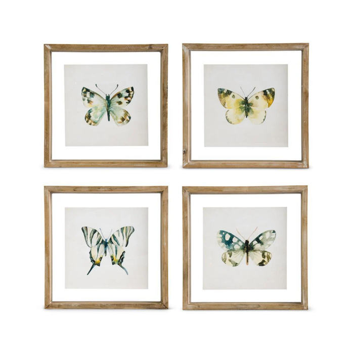 Butterfly Shadow Box Print
