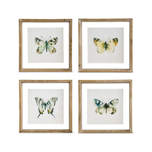 Butterfly Shadow Box Print