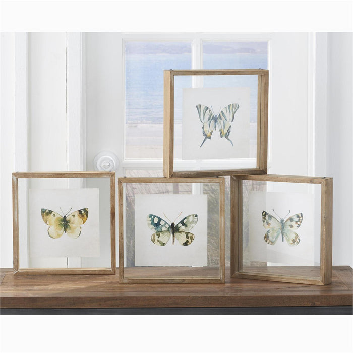 Butterfly Shadow Box Print - Madison's Niche