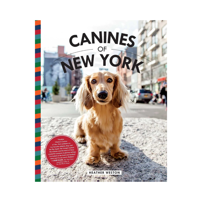 Canines of New York