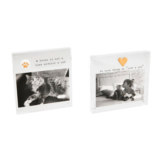 Cat Acrylic Frames - Madison's Niche