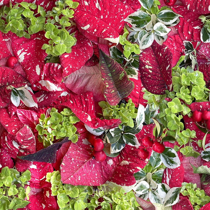 Christmas Jolly on Red 100% Cotton Fabric By the Yard