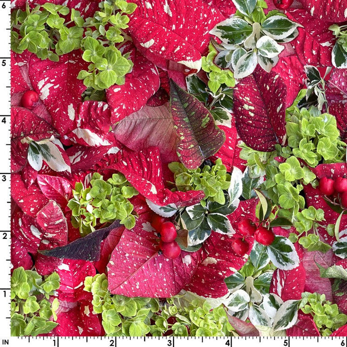 Christmas Jolly on Red 100% Cotton Fabric By the Yard