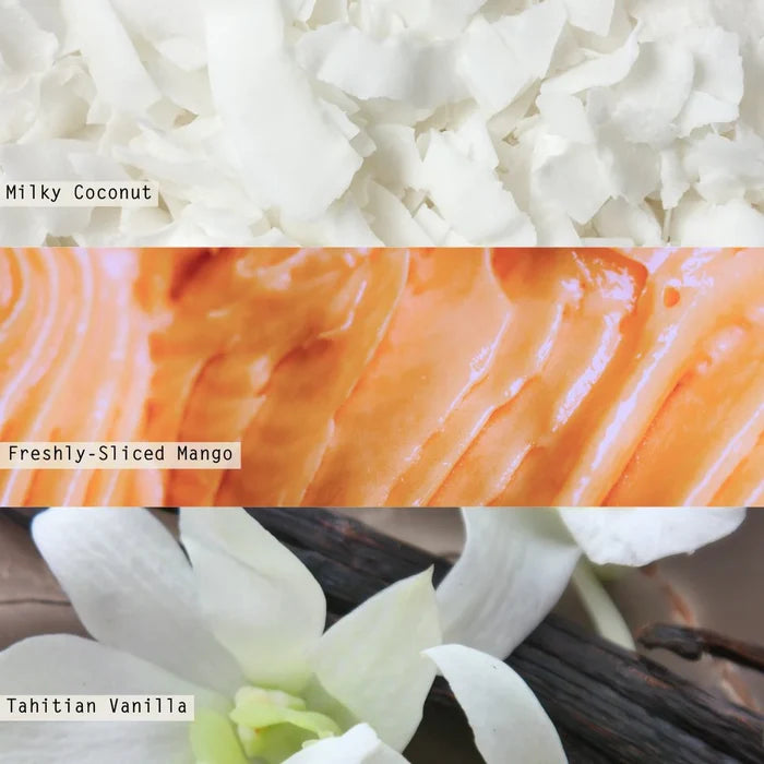 Coconut Milk Baltic Candle - Madison's Niche