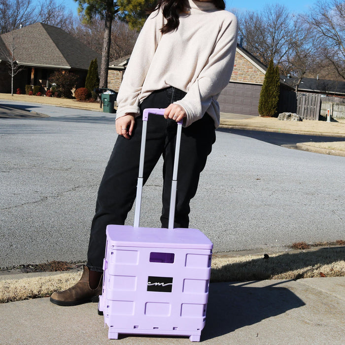 Collapsible Plastic Rolling Craft Cart, Purple