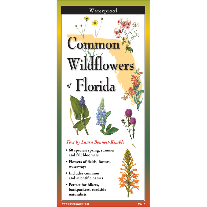 Common Wildflowers of Florida - TriFold