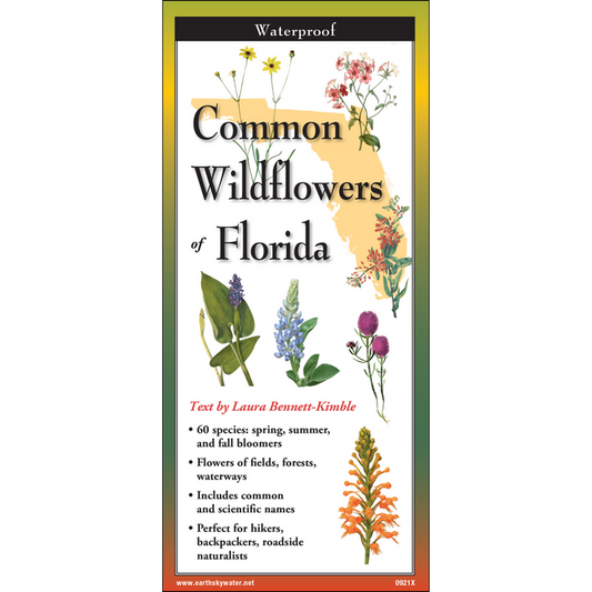 Common Wildflowers of Florida - TriFold