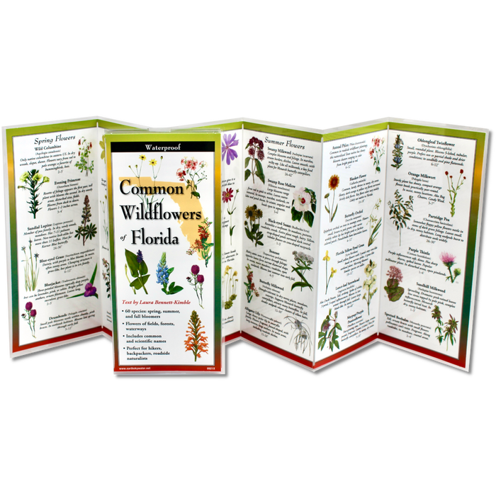 Common Wildflowers of Florida - TriFold