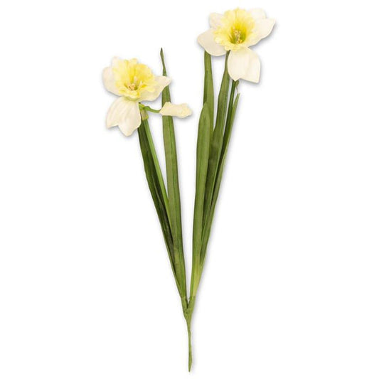 Daffodil Double Bloom Stem - Madison's Niche