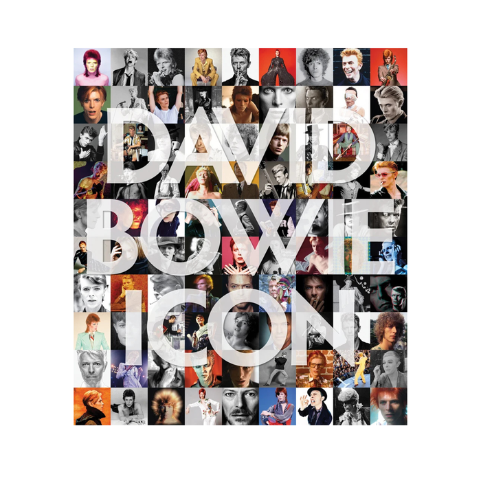 David Bowie: Icon - Madison's Niche