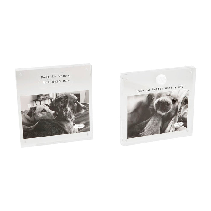 Dog Acrylic Frames - Madison's Niche