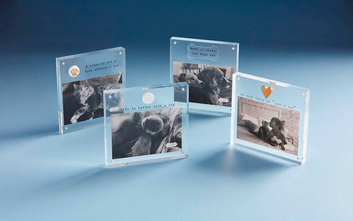Dog Acrylic Frames - Madison's Niche