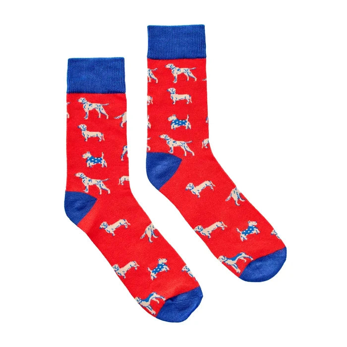 Dogs Socks in A Tin - Madison's Niche
