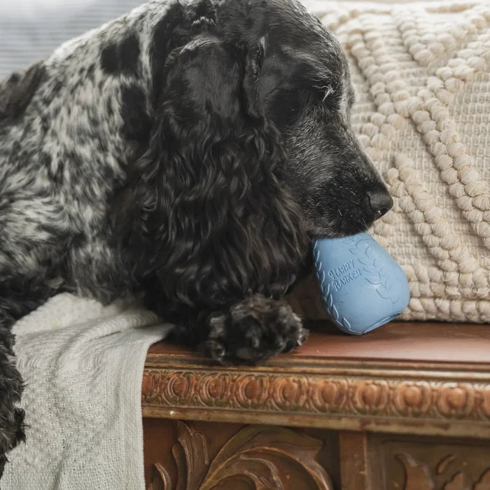 Durable Rubber Treater Toy - Madison's Niche