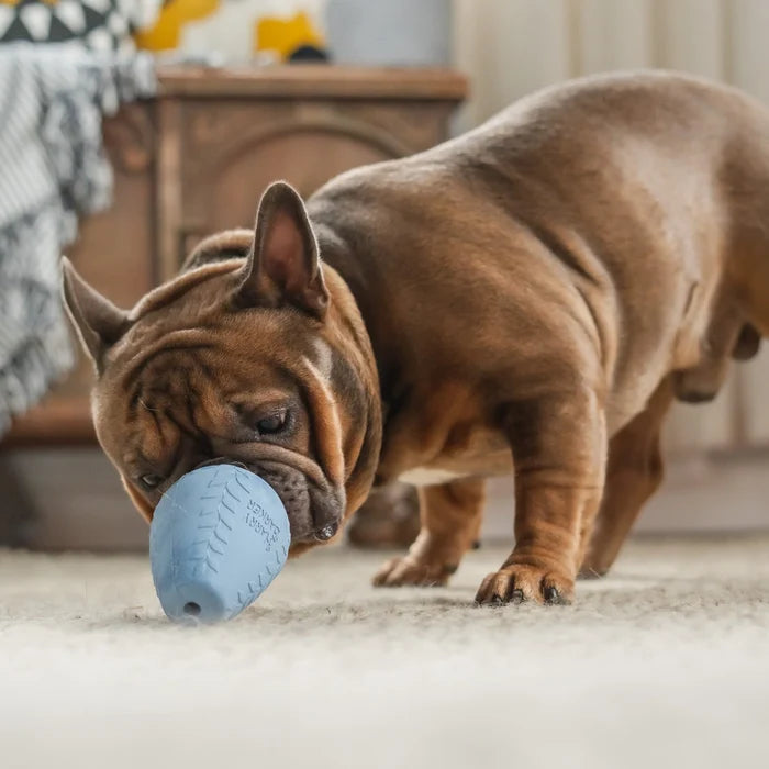 Durable Rubber Treater Toy - Madison's Niche