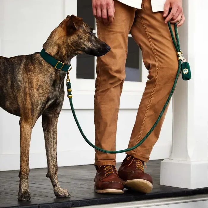 Evergreen Collar - Madison's Niche