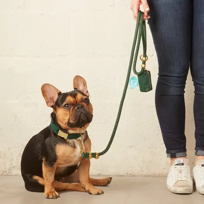 Evergreen Collar - Madison's Niche