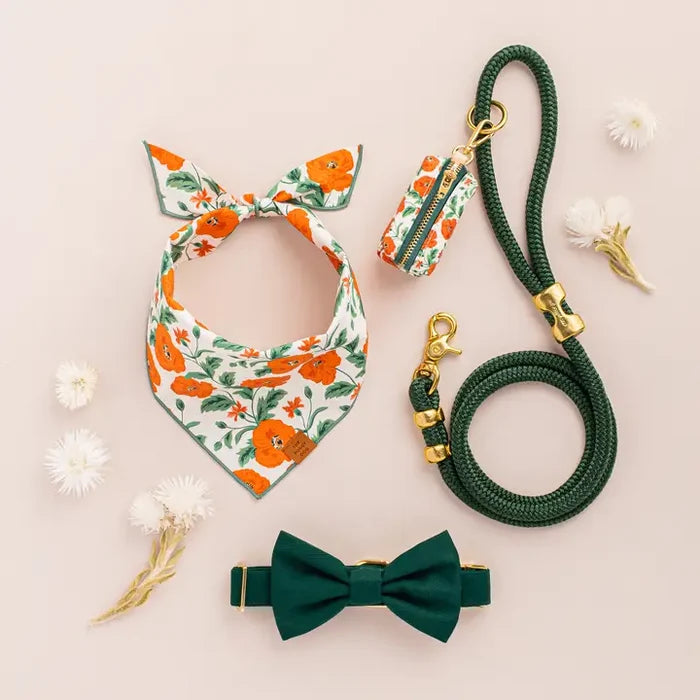 Evergreen Collar - Madison's Niche