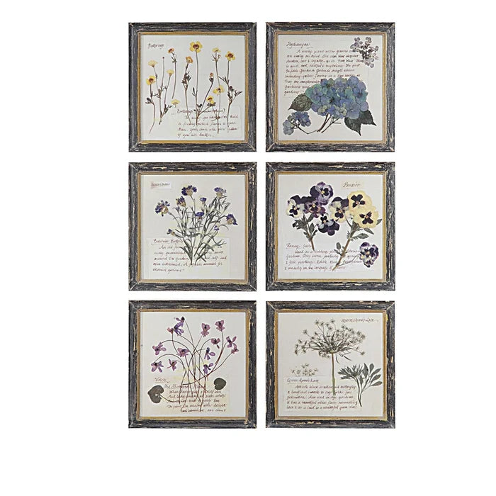 Floral Framed Wall Art - Madison's Niche