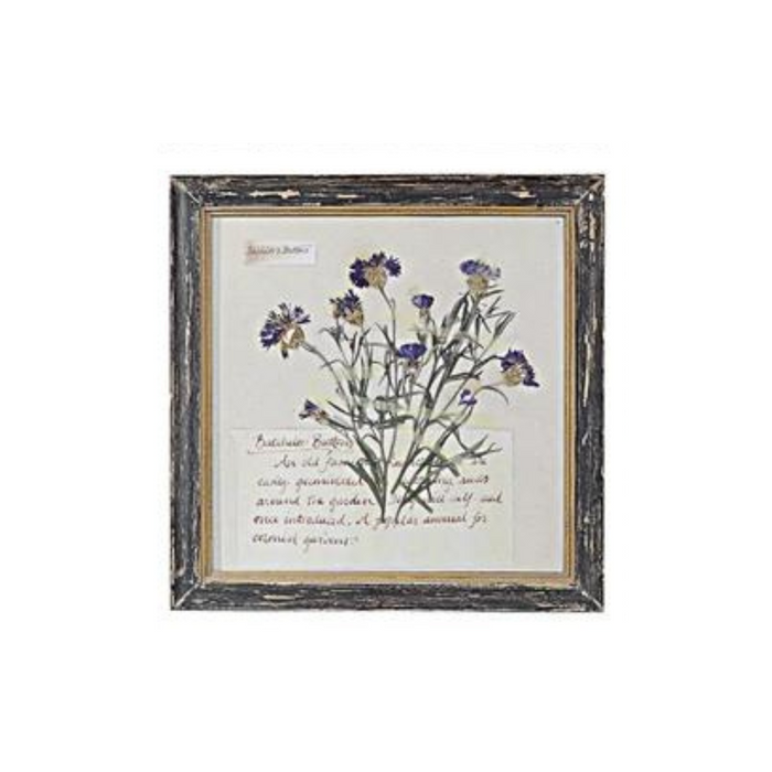 Floral Framed Wall Art - Madison's Niche