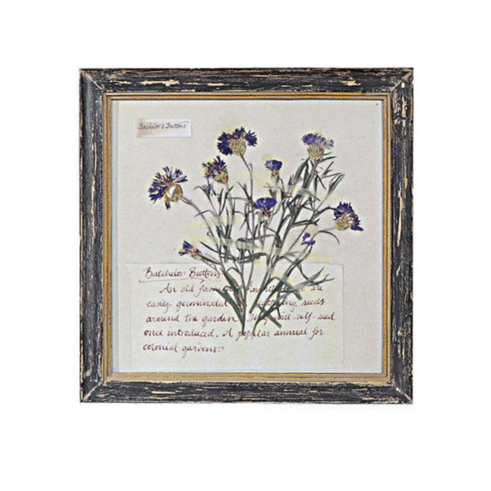 Floral Framed Wall Art - Madison's Niche