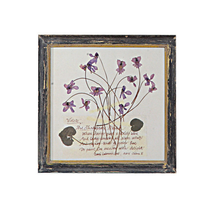 Violets