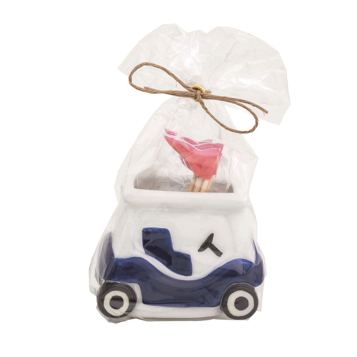 Golf Toothpick Set - Madison's Niche