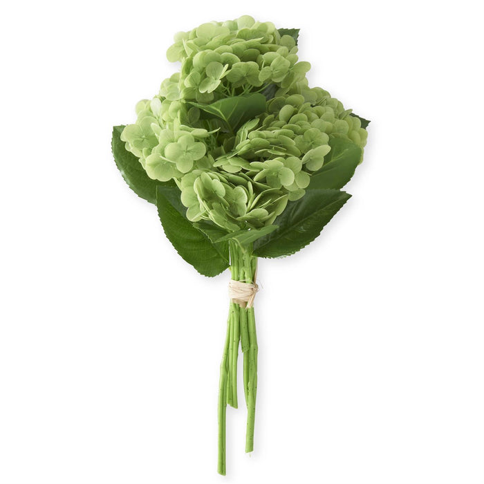 Green Hydrangea Bundle - Madison's Niche