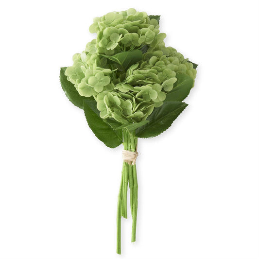 Green Hydrangea Bundle - Madison's Niche