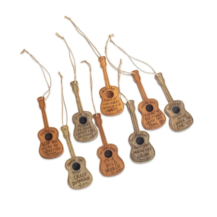 Guitar Accessories - Madison's Niche