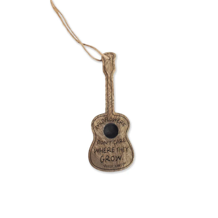 Guitar Accessories - Madison's Niche
